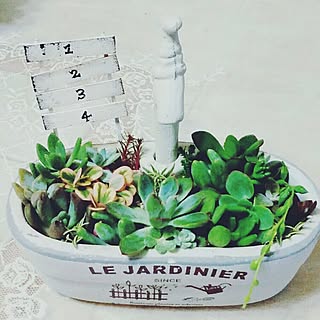 玄関/入り口/succulent/花のある暮らし/植中毒♡/植物...などのインテリア実例 - 2016-08-31 20:11:58