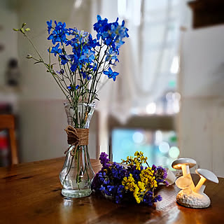 スターチス 雑貨好きのインテリア実例 Roomclip ルームクリップ