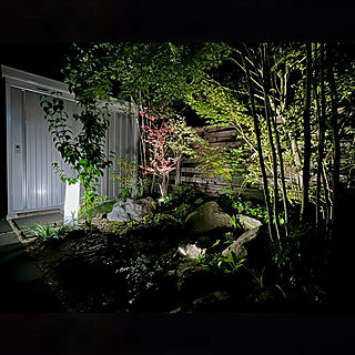 雑木林風の庭 ライトアップされた庭のインテリア実例 Roomclip ルームクリップ