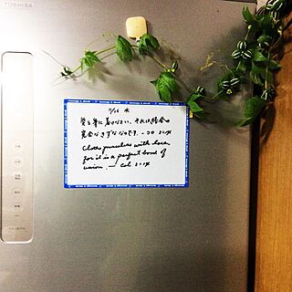 キッチン/公団/瓜/NO GREEN NO LIFE/冷蔵庫のマグネットのインテリア実例 - 2016-11-16 05:20:46