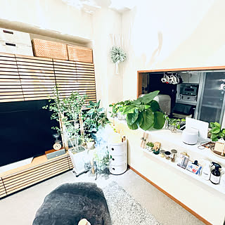 植物のある部屋/北欧好き/グリーンのある暮らし/植物のある暮らし/植物育成ライト...などのインテリア実例 - 2022-01-11 10:45:35