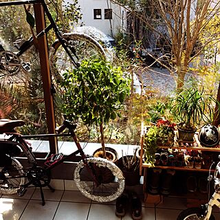 玄関/入り口/植栽/観葉植物/自転車/収納...などのインテリア実例 - 2015-02-17 12:09:52