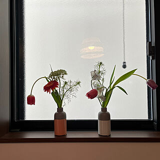 壁/天井/お花/植物のある暮らし/春の模様替え/心地よい暮らし...などのインテリア実例 - 2024-04-04 13:14:25