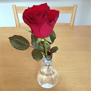 薔薇一輪のインテリア実例 Roomclip ルームクリップ 薔薇一輪のインテリア実例 Roomclip ルームクリップ