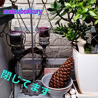 玄関/入り口/ハツユキカズラリース/キャンドルスタンド/多肉寄せ植え/玄関の前...などのインテリア実例 - 2016-09-20 19:29:54