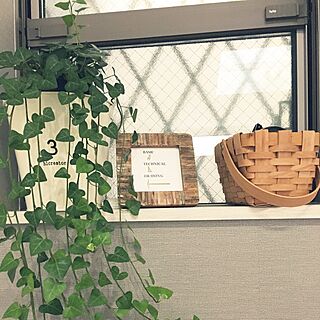 棚/3COINS/セリア/雑貨/観葉植物のインテリア実例 - 2016-09-05 16:21:21