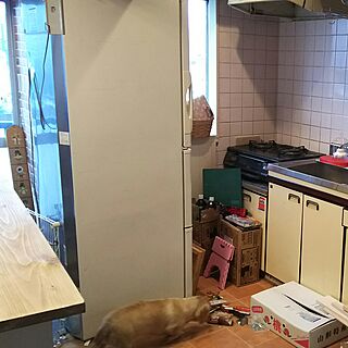キッチン/DIY/カントリー風のインテリア実例 - 2016-09-02 02:11:25