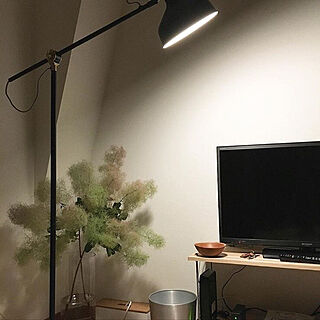 壁/天井/IKEA/照明/DIY/無印良品...などのインテリア実例 - 2017-10-29 09:06:20