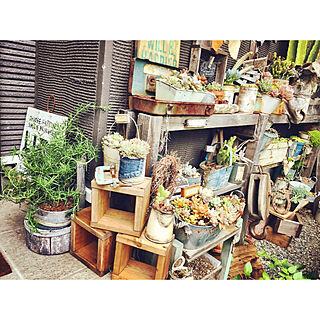 玄関/入り口/JUNK GARDEN/アンティーク雑貨/多肉植物寄せ植え/サボテン...などのインテリア実例 - 2018-05-01 17:57:33