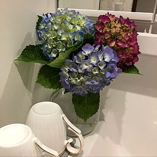 切り花/お花が好き/洗面所/紫陽花/バス/トイレのインテリア実例 - 2021-05-21 23:14:39