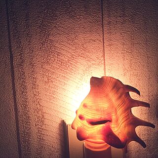 ベッド周り/貝殻ライト/貝殻/シェルライト/海を感じる部屋...などのインテリア実例 - 2017-02-23 05:24:00