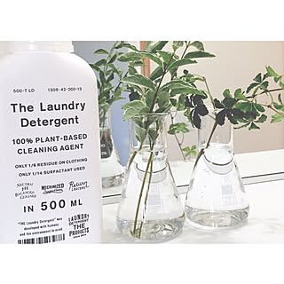 バス/トイレ/グリーンのある暮らし/フラスコ/THE LAUNDRESS/理系インテリア...などのインテリア実例 - 2015-09-14 16:40:32