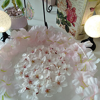 リビング/桜/お花見気分/お花を飾る/ピンク好き...などのインテリア実例 - 2021-03-28 14:18:15