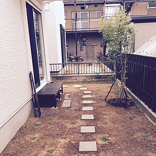 シマトネリコ/庭/庭DIY/飛び石/濡れ縁のインテリア実例 - 2017-05-10 01:30:14