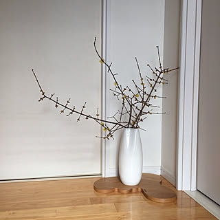 お正月 蝋梅のインテリア実例 Roomclip ルームクリップ