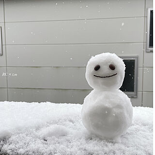 雪だるま/玄関/入り口のインテリア実例 - 2022-01-06 15:46:32