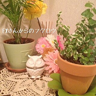 玄関/入り口/植物/ハンドメイド/編み物/アロマポット...などのインテリア実例 - 2013-12-09 16:14:16