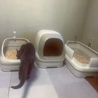 猫ちゃん想い/ねこと暮らす/ニャンとも清潔トイレ/ねこのいる日常/猫トイレ...などのインテリア実例 - 2022-11-14 12:15:37