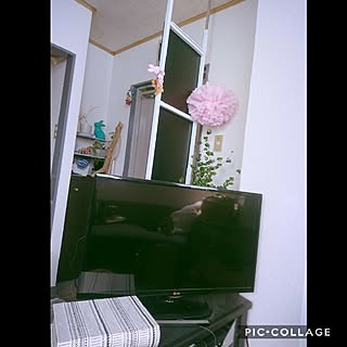 玄関/入り口/賃貸/植物のある部屋/植物のある暮らし/隠す収納...などのインテリア実例 - 2017-03-30 12:01:14