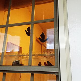 玄関/入り口/格子窓/窓/鳥/外から覗くとのインテリア実例 - 2015-04-06 23:29:28