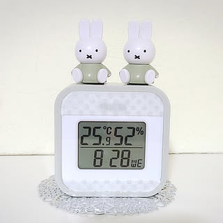 100均/ダイソー/雑貨/ミッフィー/miffy...などのインテリア実例 - 2021-06-16 08:34:10