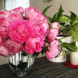 バラ ジャスミーナのおしゃれなアレンジ 飾り方のインテリア実例 Roomclip ルームクリップ