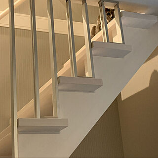 ロシアンブルー/スケルトン階段/猫と暮らす家/ウッドワンの階段/デザイン階段Light...などのインテリア実例 - 2020-03-23 22:27:03
