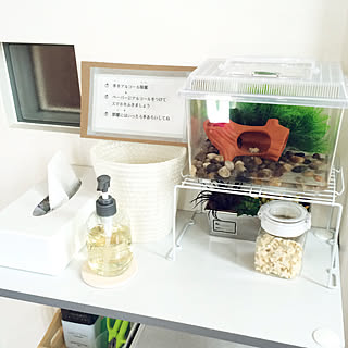 ダイソー 虫かごの商品を使ったおしゃれなインテリア実例 Roomclip ルームクリップ ダイソー 虫かごの商品を使ったおしゃれなインテリア実例 Roomclip ルームクリップ