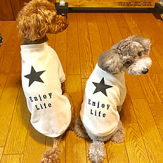 ハンドメイド 犬服のおしゃれなアレンジ・飾り方のインテリア実例 ...