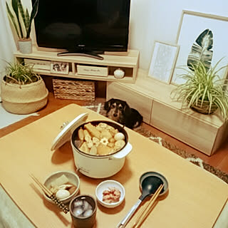 机/キャセロール/山善/くらしのeショップモニター/1LDK...などのインテリア実例 - 2019-03-04 04:04:40