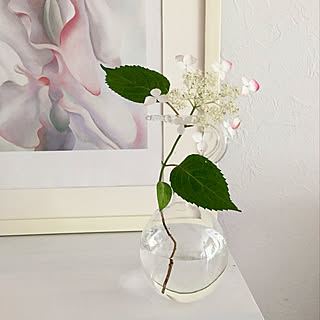 花のある暮らし/棚上回顧/フラワーベース/庭の花を生ける/部屋全体...などのインテリア実例 - 2019-03-23 10:02:29