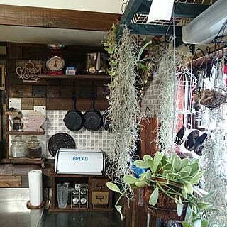 キッチン/RC山口♡/インスタ☺nana_arietta/いいね、フォロー本当に感謝デス☺︎/DIY...などのインテリア実例 - 2016-08-30 17:02:14