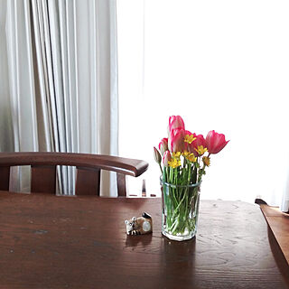 チューリップ/ヒメリュウキンカ/フラワーベース/切り花/ガラスの花瓶...などのインテリア実例 - 2022-04-10 11:09:20