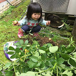 庭/家庭菜園♡/玄関/入り口のインテリア実例 - 2019-08-31 03:01:23