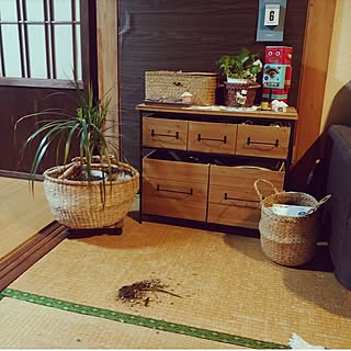 部屋全体/お家を楽しむ/古い家/古い家に住む/三毛猫...などのインテリア実例 - 2023-04-06 20:01:06