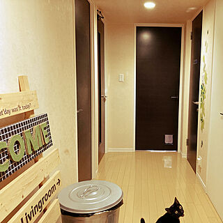 猫用ドア/わが家のドア/手作り/DIY/ねこが好き...などのインテリア実例 - 2022-01-23 13:26:38