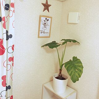 部屋全体/クワズイモ/寝室の一角/IKEA/観葉植物のインテリア実例 - 2017-07-04 09:10:45
