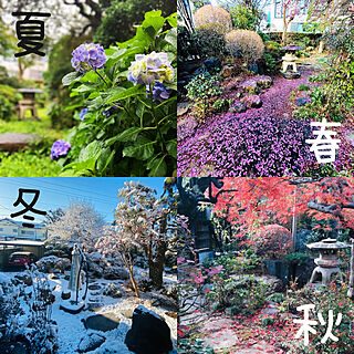季節を楽しむ/季節を感じる/日本庭園/四季/我が家の庭...などのインテリア実例 - 2022-06-15 23:11:36