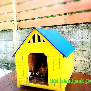 犬小屋DIY/ミルクペイント/ガーデニング　/癒しの空間/沖縄の家...などのインテリア実例 - 2017-05-11 10:22:54