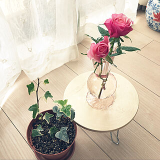 お気に入りの花瓶/バラ大好き♡/ばらが咲きました♡/部屋全体ではありません/バラ...などのインテリア実例 - 2021-04-08 11:47:40