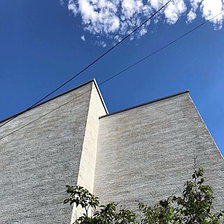 壁/天井/ヒメシャラ/塗り壁/外壁のインテリア実例 - 2018-11-07 19:25:01