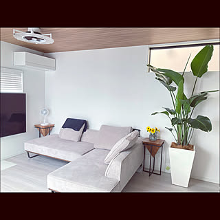 サーキュレーター/ソファー/大きな観葉植物/観葉植物のある部屋/ledシーリングライト...などのインテリア実例 - 2021-07-29 21:03:41