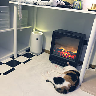 部屋全体/猫の部屋/IKEA/カラックス/桜ちゃんのインテリア実例 - 2024-01-21 10:52:14