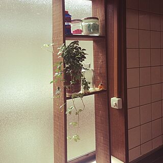 キッチン/シュガーバイン♥︎/DIY/観葉植物のインテリア実例 - 2016-05-25 14:50:08