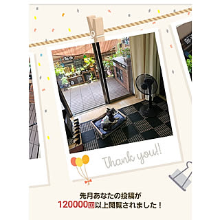 部屋全体/コメントお気遣いなく♡/インスタ→lovepeacedog/2020年9月3日/ありがとうございます♪感謝♥...などのインテリア実例 - 2020-09-03 20:37:30