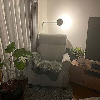 リビング/RoomClipアンケート/観葉植物/IKEA/いぬと暮らす...などのインテリア実例 - 2023-08-01 20:36:39