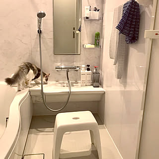 バスルーム 賃貸のお風呂場のおしゃれなインテリアコーディネート レイアウトの実例 Roomclip ルームクリップ バスルーム 賃貸のお風呂場のおしゃれなインテリアコーディネート レイアウトの実例 Roomclip ルームクリップ