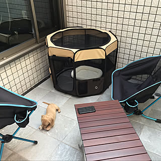 ネット通販/小型犬のいる生活/ペットと暮らす家/パナソニック　ホームズ/新築...などのインテリア実例 - 2020-08-07 20:47:29