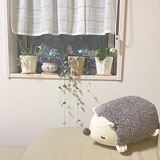 ハリネズミのぬいぐるみ/多肉植物/北欧ナチュラル/建売住宅/建売住宅だけど可愛く☆...などのインテリア実例 - 2022-01-15 01:27:34