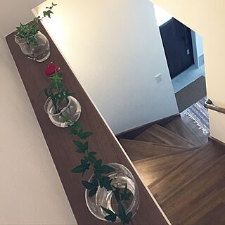 壁/天井/ガラスコップ/観葉植物/階段の壁のインテリア実例 - 2017-05-28 14:33:22